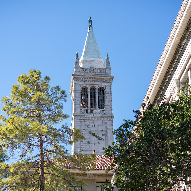 Bell tower surrounded by trees