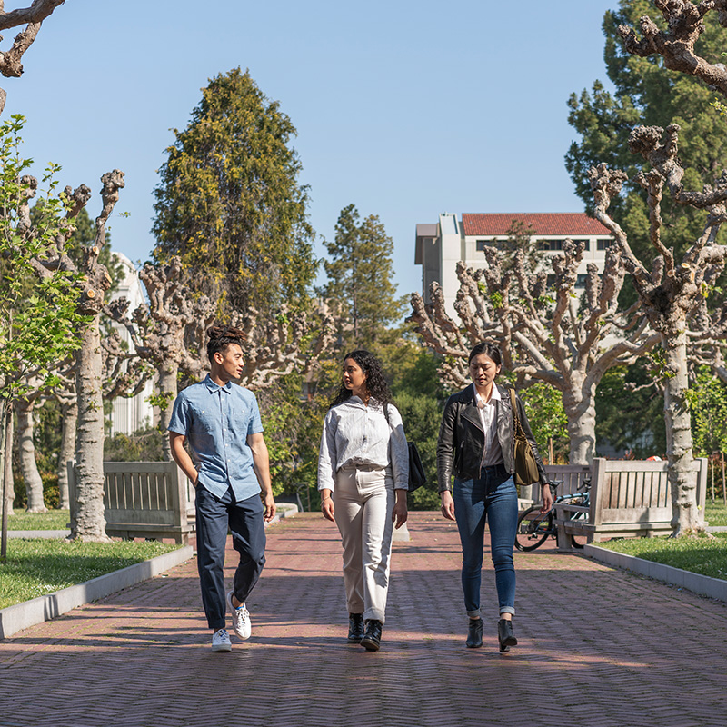 3 friends walk together on a brick sidewalk in a park