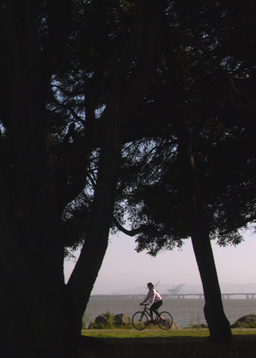 A woman rides her bike in a park by the water