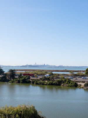 View of Berkeley skyline from Berkeley Commons